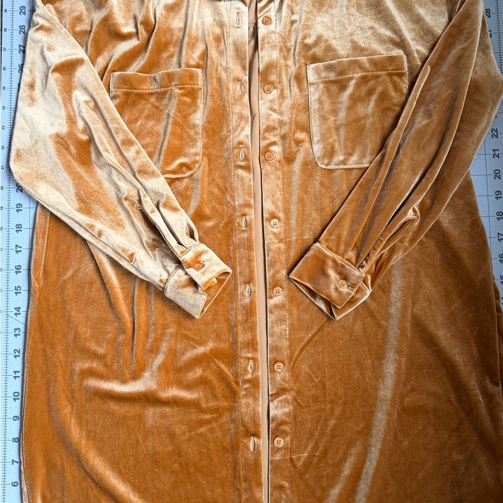 Forever 21 Velvet Long Sleeve Dress in Tan